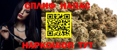 бошки Гатчина