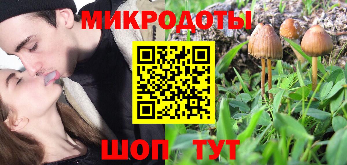 Галлюциногенные грибы Psilocybe  Вход с VPN  Гусиноозёрск 