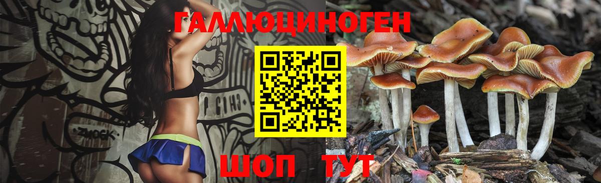 Галлюциногенные грибы прущие грибы  Галлюциногенные грибы Magic Shrooms  Гусиноозёрск 