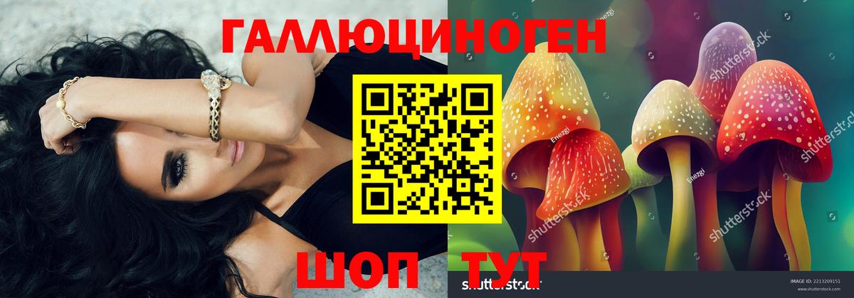 Галлюциногенные грибы мухоморы Гусиноозёрск
